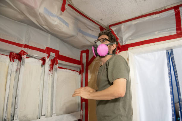 Best Mold Documentation for Insurance Claims  in Nacogdoches, TX