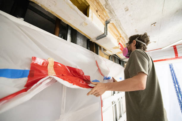 Best Commercial Mold Inspection  in Nacogdoches, TX