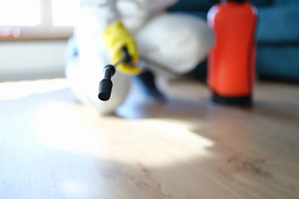 Dehumidification Services in Nacogdoches, TX